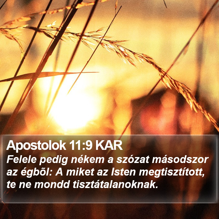 Apostolok 11:9 KAR Bible Study