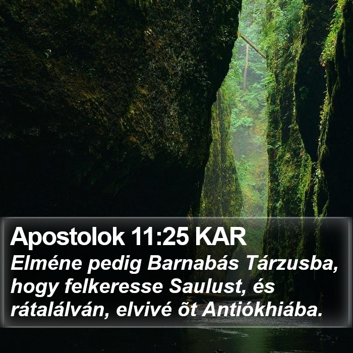 Apostolok 11:25 KAR Bible Study