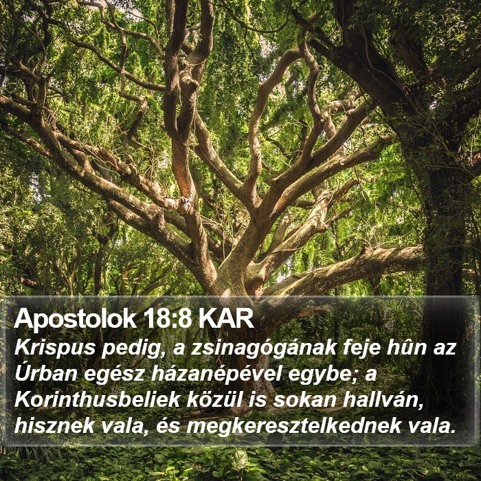 Apostolok 18:8 KAR Bible Study
