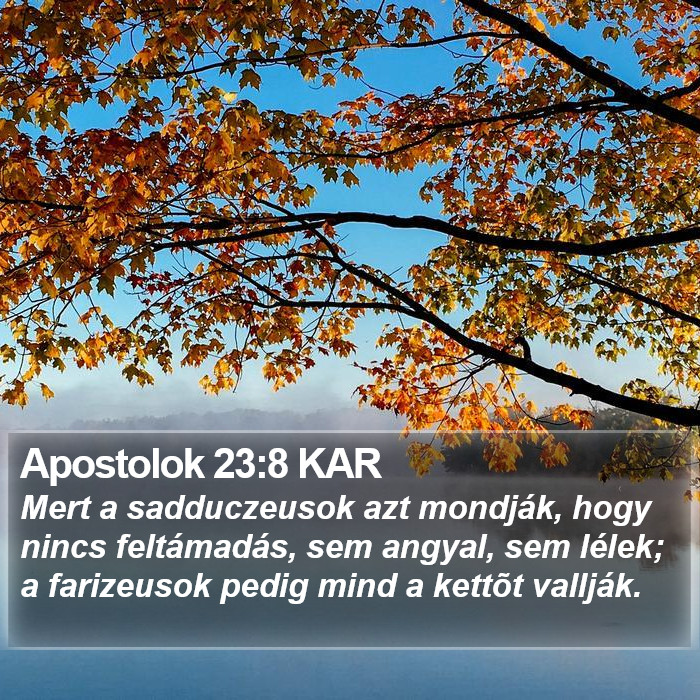 Apostolok 23:8 KAR Bible Study