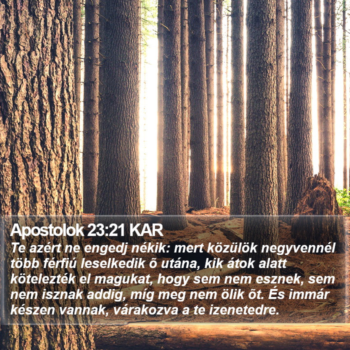 Apostolok 23:21 KAR Bible Study