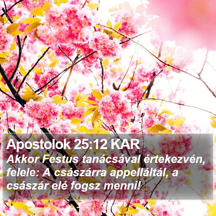 Apostolok 25:12 KAR Bible Study