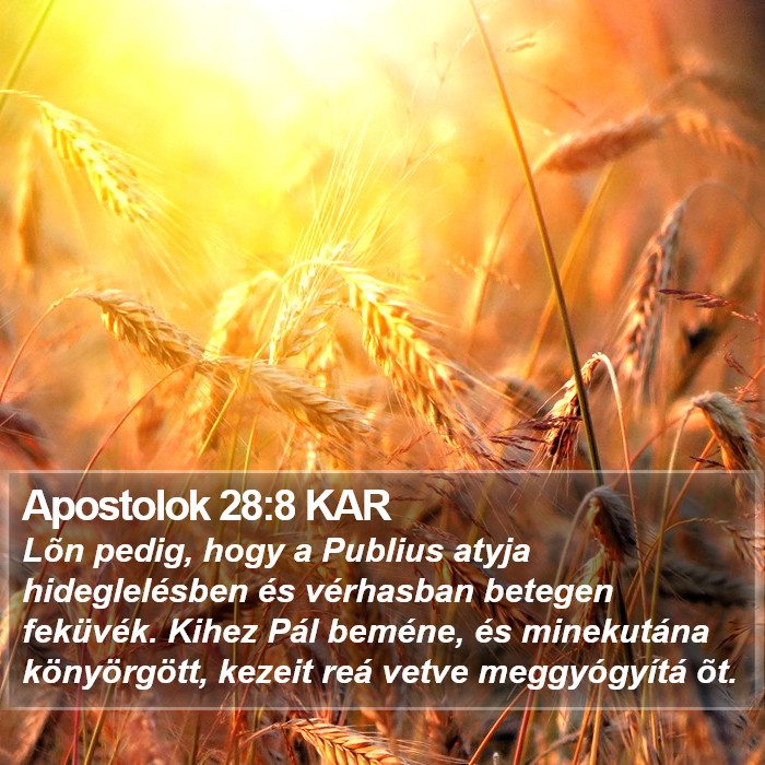 Apostolok 28:8 KAR Bible Study