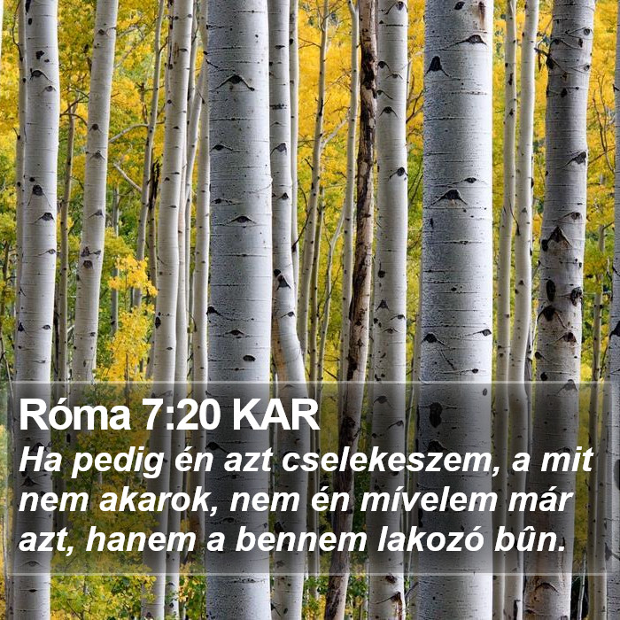 Róma 7:20 KAR Bible Study