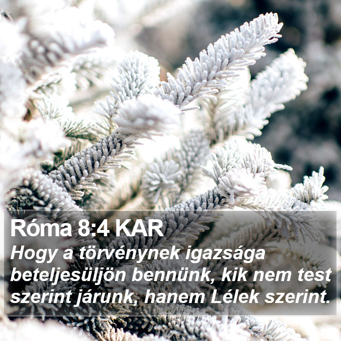 Róma 8:4 KAR Bible Study