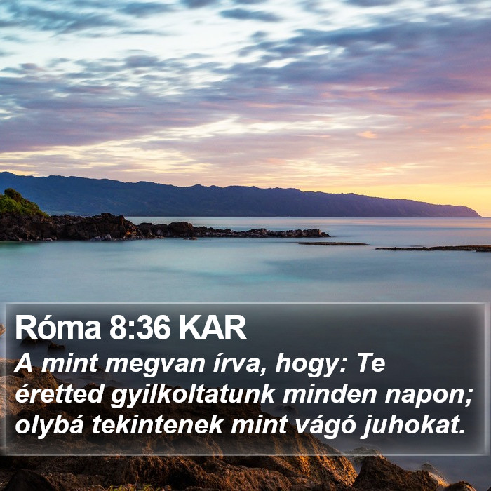 Róma 8:36 KAR Bible Study