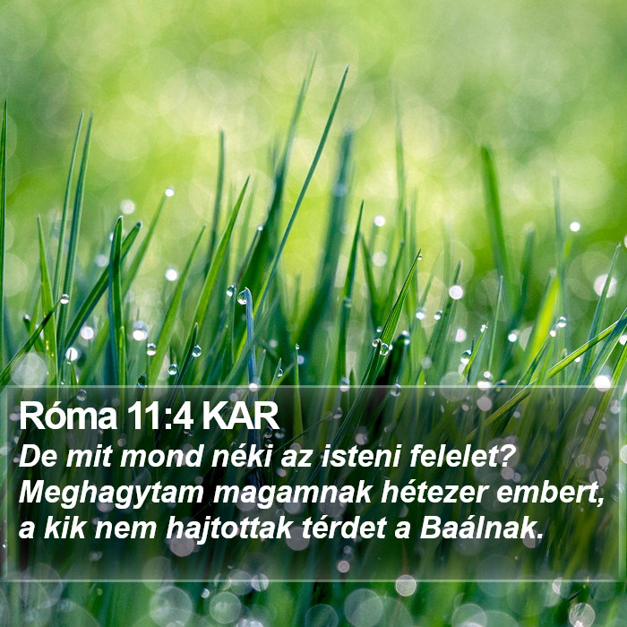 Róma 11:4 KAR Bible Study