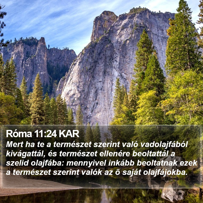 Róma 11:24 KAR Bible Study