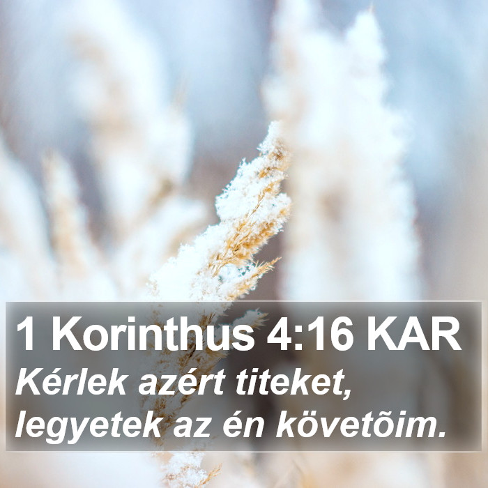 1 Korinthus 4:16 KAR Bible Study