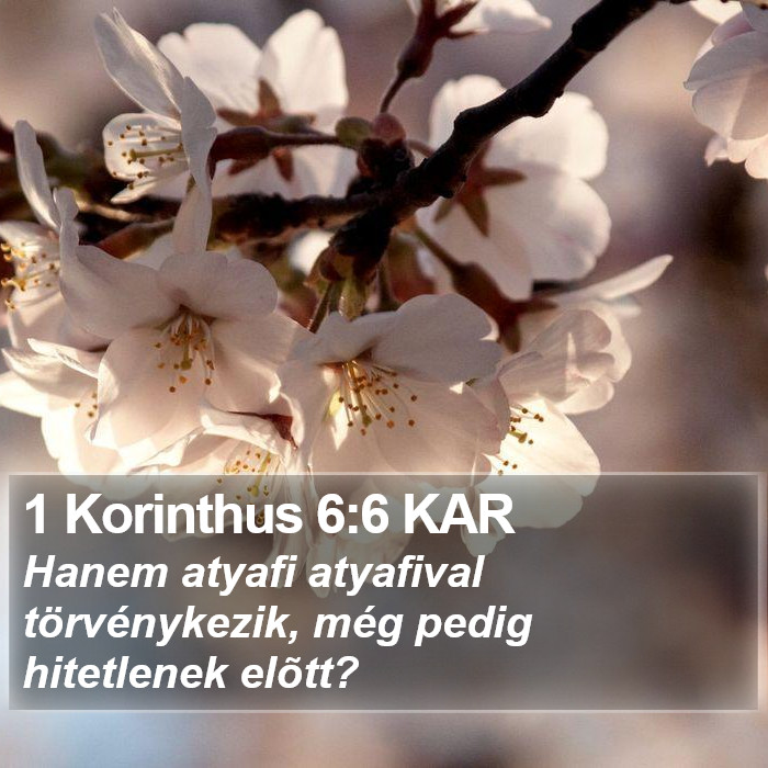 1 Korinthus 6:6 KAR Bible Study