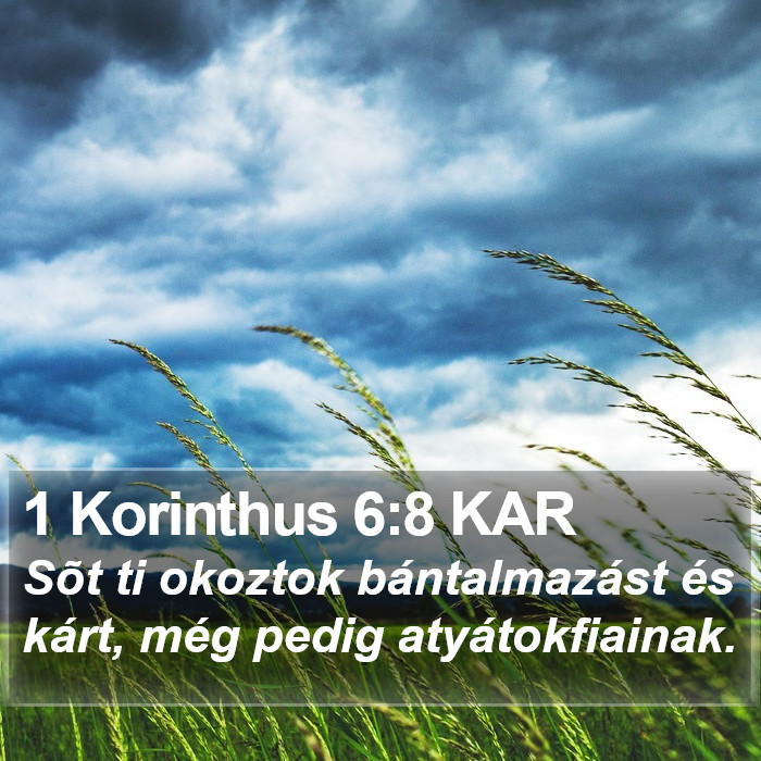 1 Korinthus 6:8 KAR Bible Study