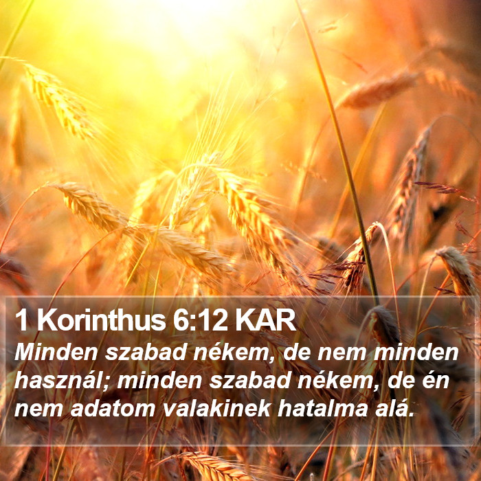 1 Korinthus 6:12 KAR Bible Study