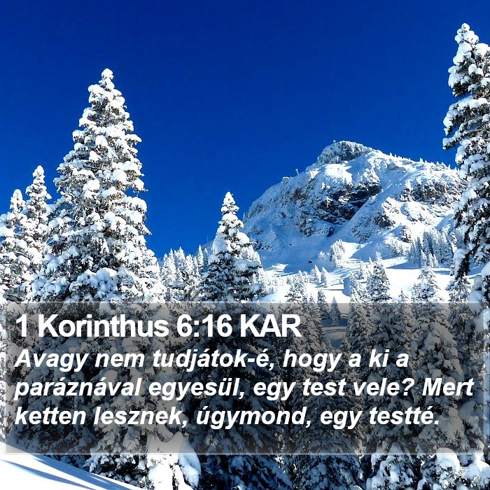 1 Korinthus 6:16 KAR Bible Study