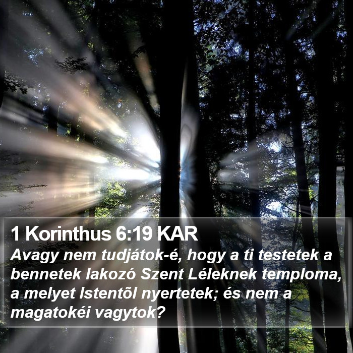 1 Korinthus 6:19 KAR Bible Study