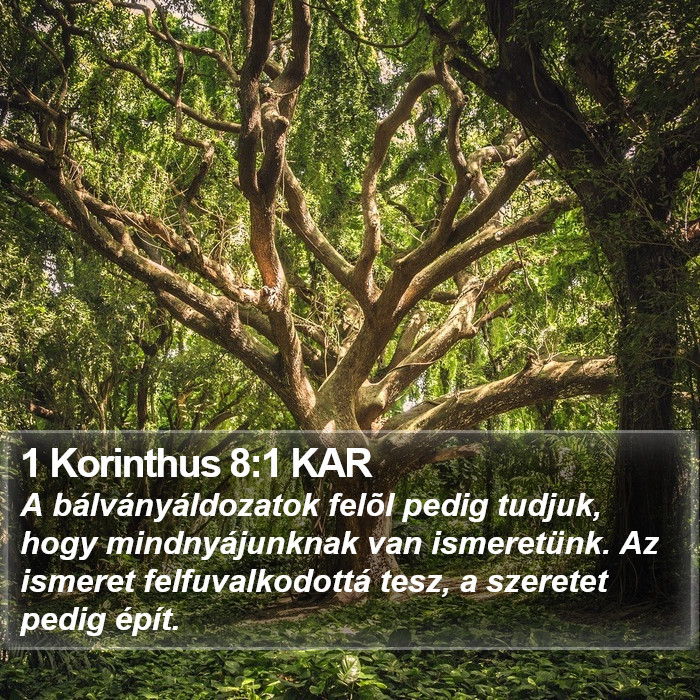 1 Korinthus 8:1 KAR Bible Study