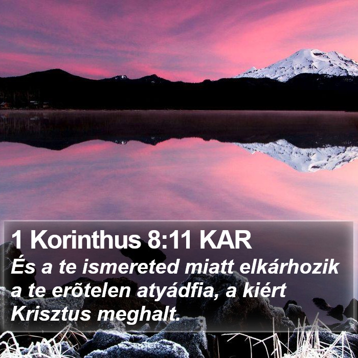 1 Korinthus 8:11 KAR Bible Study