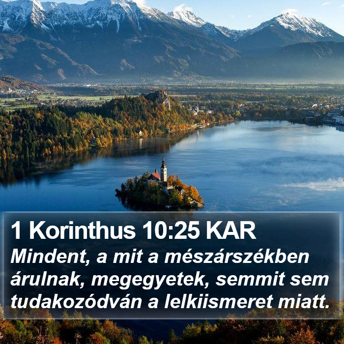 1 Korinthus 10:25 KAR Bible Study