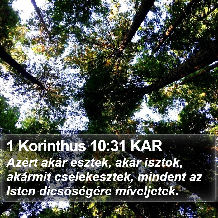 1 Korinthus 10:31 KAR Bible Study