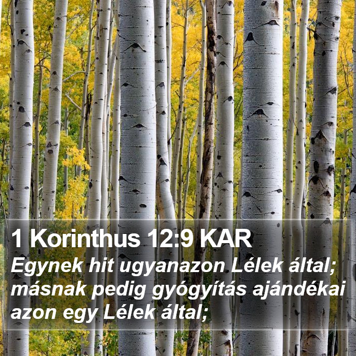 1 Korinthus 12:9 KAR Bible Study