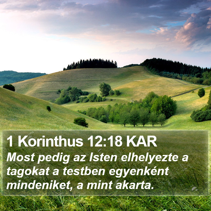 1 Korinthus 12:18 KAR Bible Study