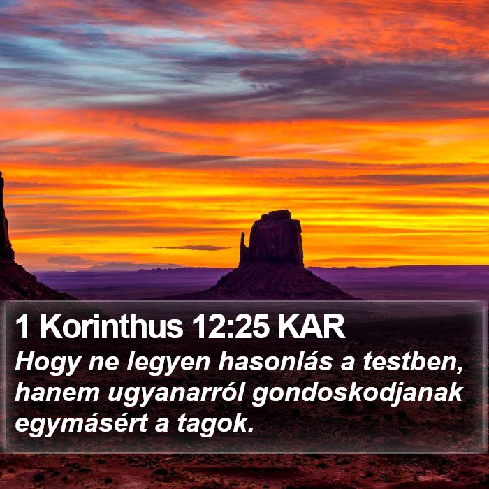1 Korinthus 12:25 KAR Bible Study