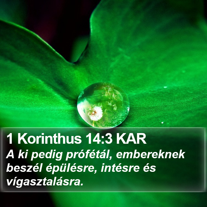 1 Korinthus 14:3 KAR Bible Study