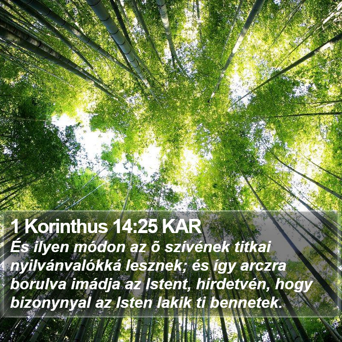 1 Korinthus 14:25 KAR Bible Study