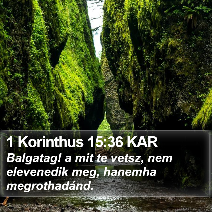 1 Korinthus 15:36 KAR Bible Study