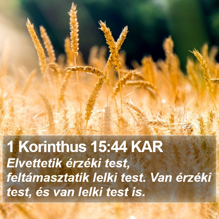 1 Korinthus 15:44 KAR Bible Study