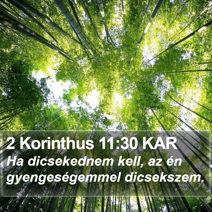 2 Korinthus 11:30 KAR Bible Study