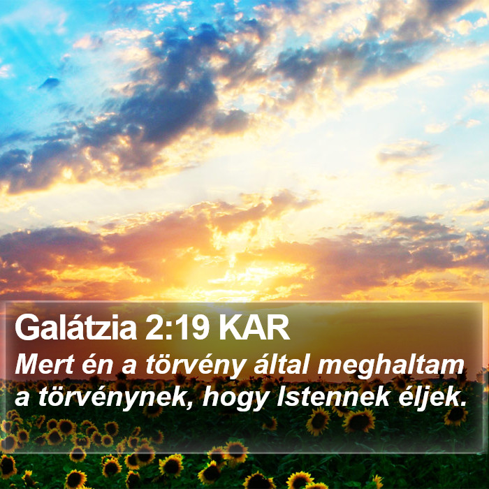 Galátzia 2:19 KAR Bible Study