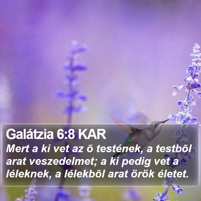 Galátzia 6:8 KAR Bible Study