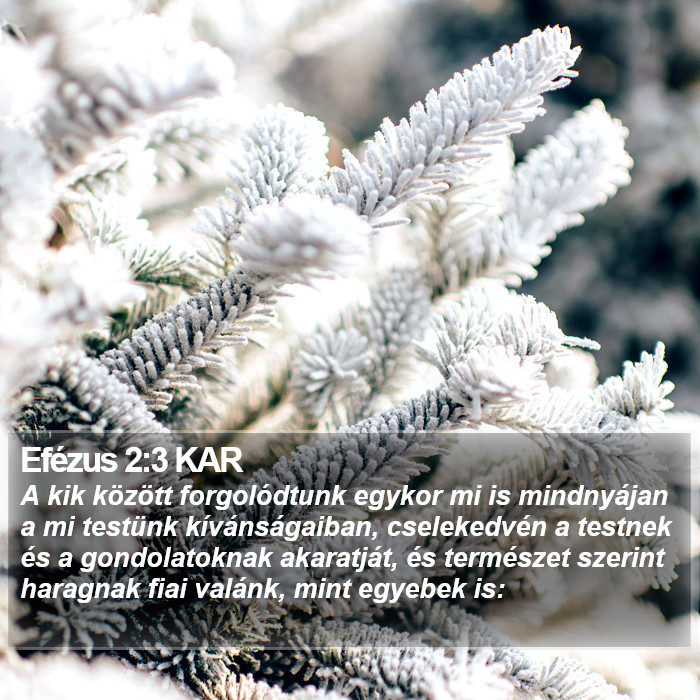 Efézus 2:3 KAR Bible Study