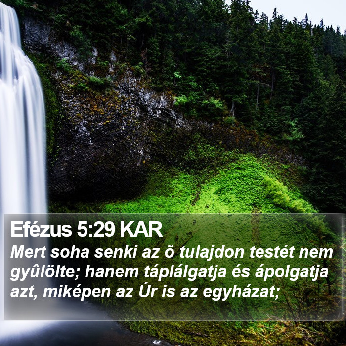 Efézus 5:29 KAR Bible Study