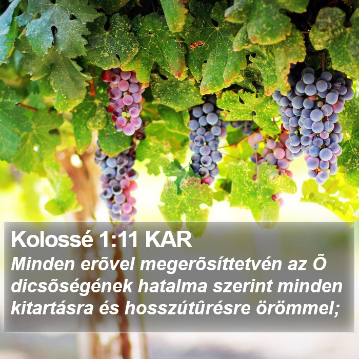 Kolossé 1:11 KAR Bible Study