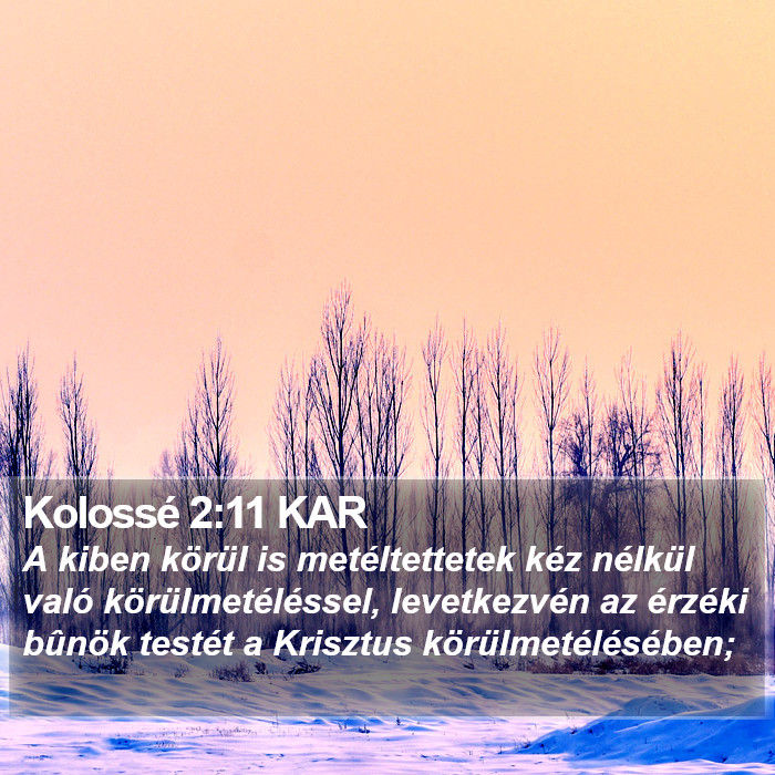 Kolossé 2:11 KAR Bible Study