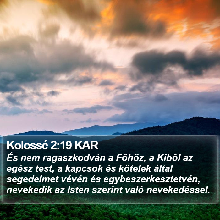 Kolossé 2:19 KAR Bible Study