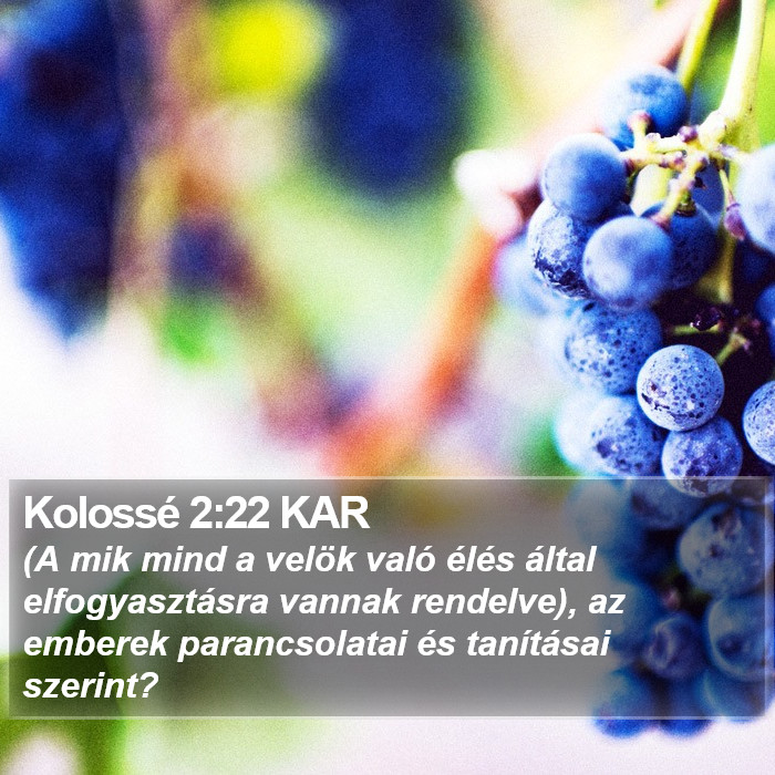 Kolossé 2:22 KAR Bible Study