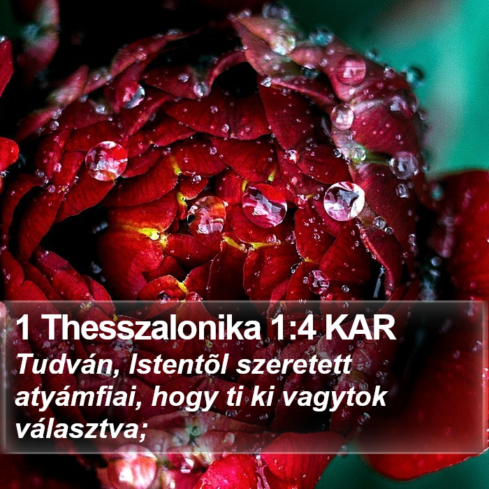 1 Thesszalonika 1:4 KAR Bible Study