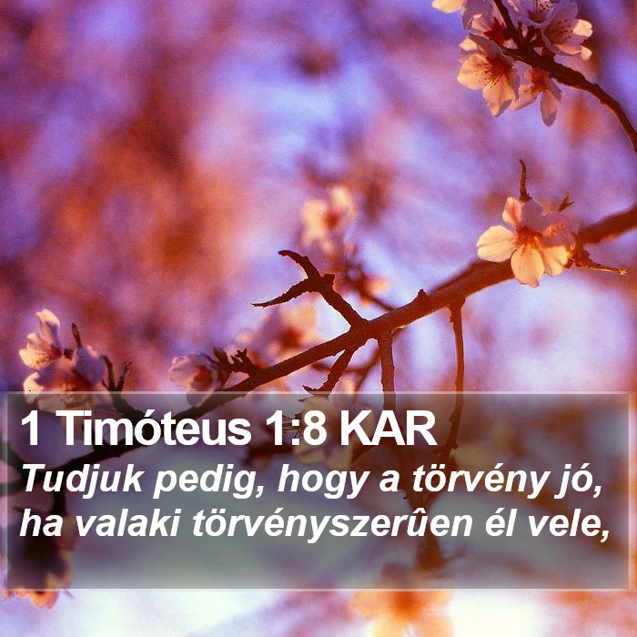 1 Timóteus 1:8 KAR Bible Study