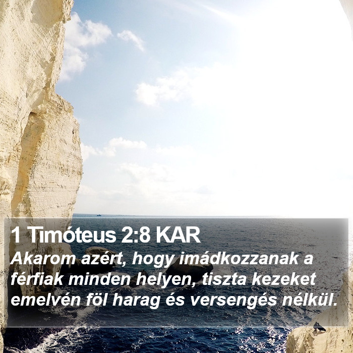 1 Timóteus 2:8 KAR Bible Study