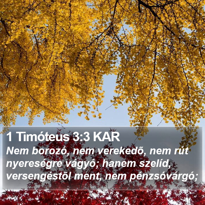 1 Timóteus 3:3 KAR Bible Study