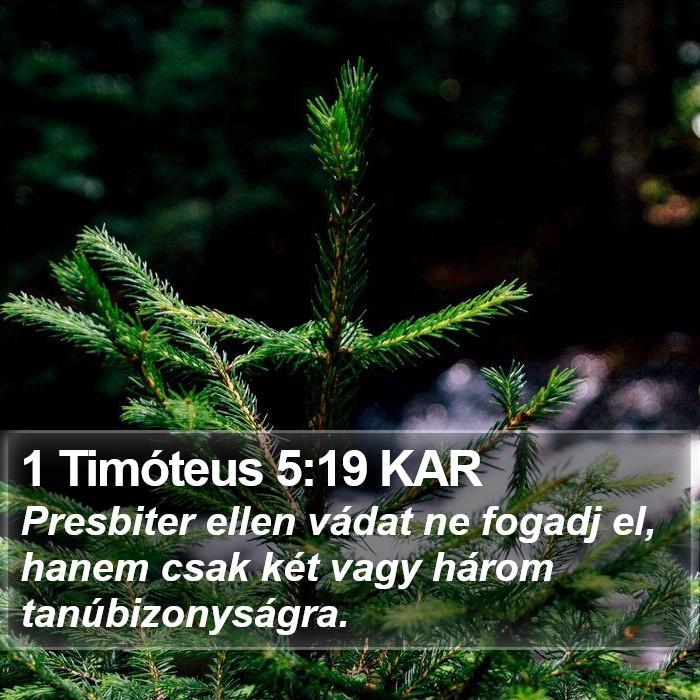 1 Timóteus 5:19 KAR Bible Study