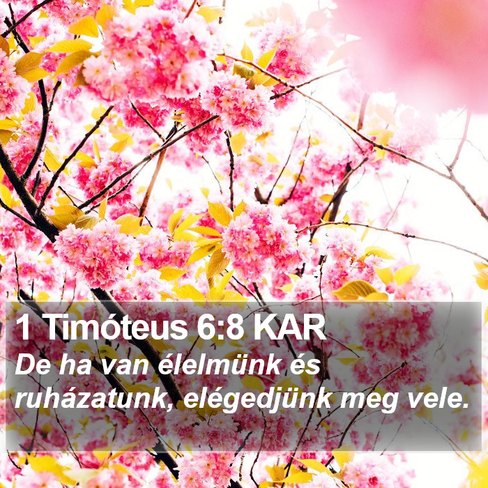 1 Timóteus 6:8 KAR Bible Study