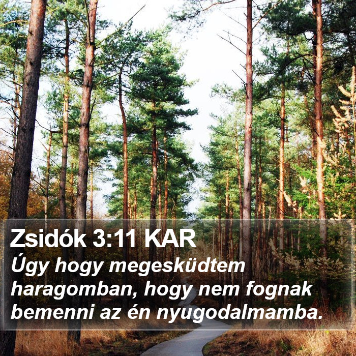 Zsidók 3:11 KAR Bible Study