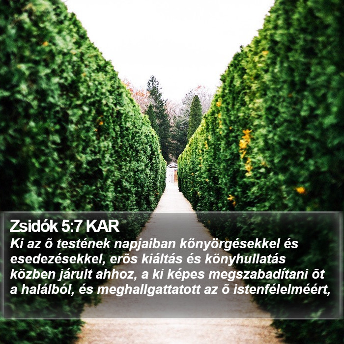 Zsidók 5:7 KAR Bible Study