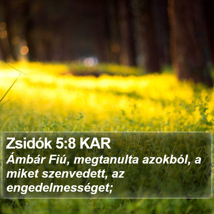 Zsidók 5:8 KAR Bible Study