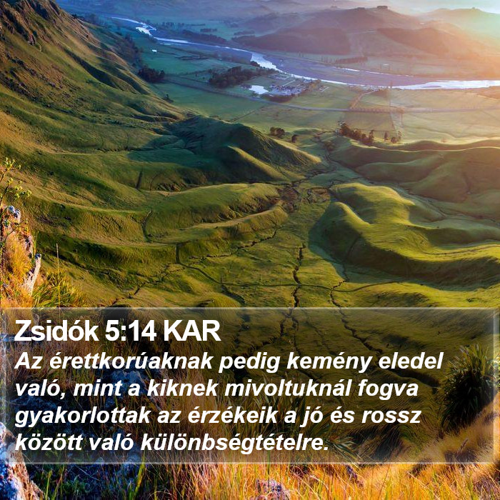 Zsidók 5:14 KAR Bible Study