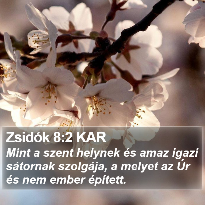 Zsidók 8:2 KAR Bible Study