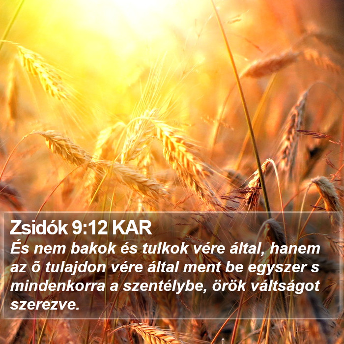 Zsidók 9:12 KAR Bible Study